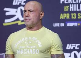 Joe Rogan's Net Worth