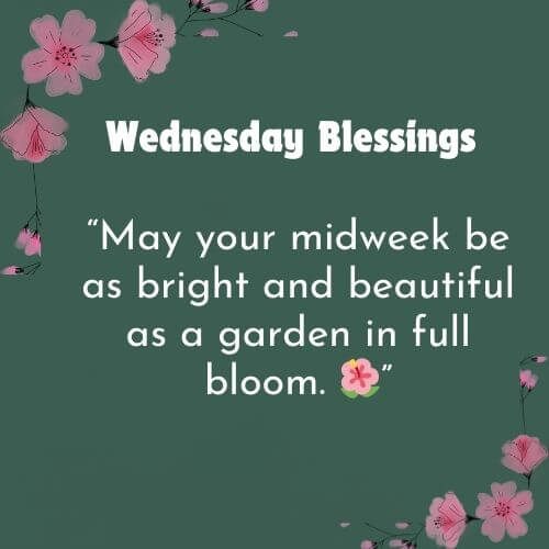 Wednesday Blessings